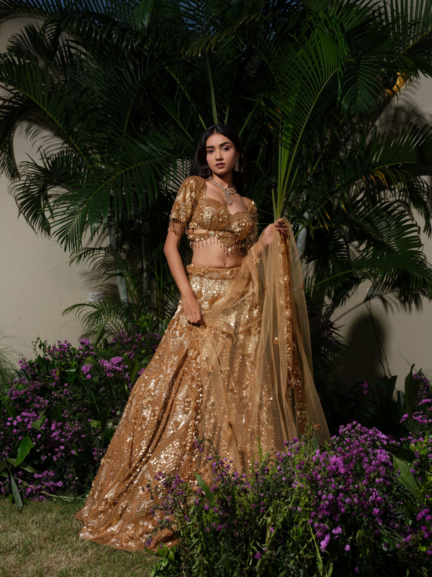 ROYAL MIDAS
