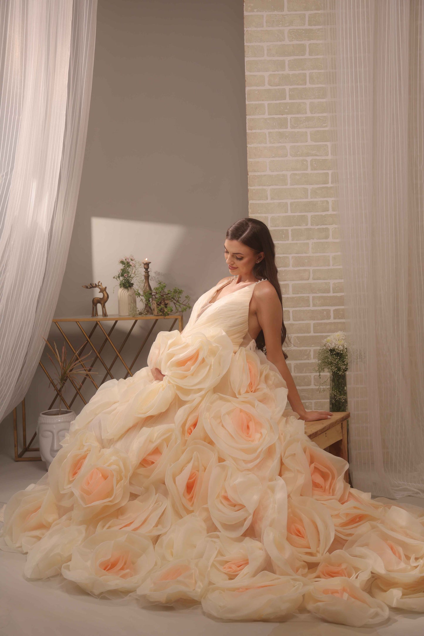Rose Blossom