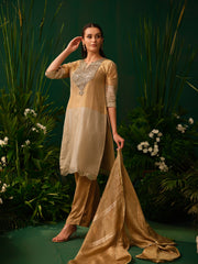 Zarina Mirror Kurti Set