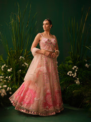 Gulabi Hues