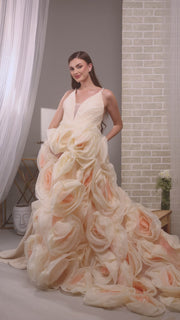 Rose Blossom