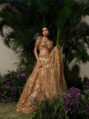 ROYAL MIDAS